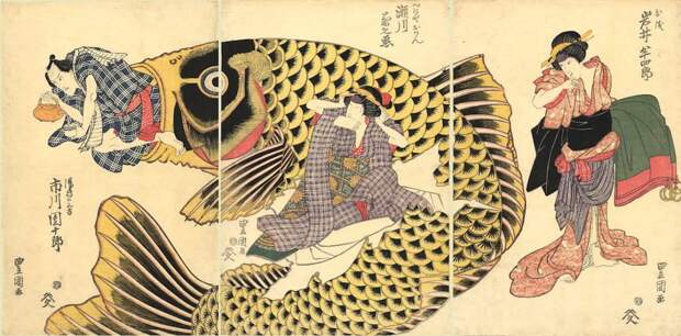 Таинственные огромные речные рыбы Японии 