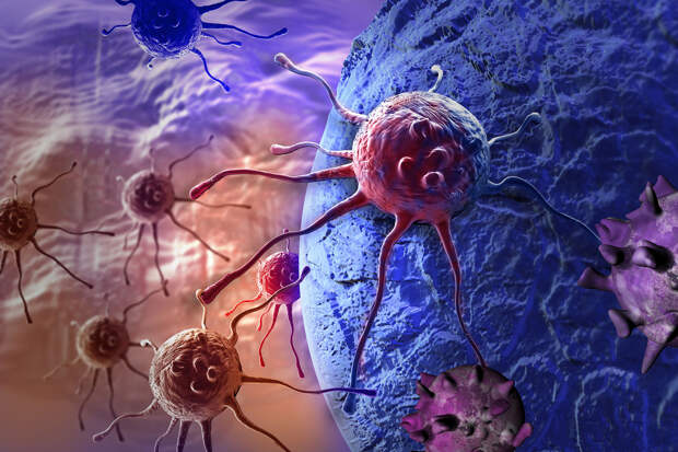JBC: устранение особых полиплоидных опухолевых клеток снижает риск рецидива рака