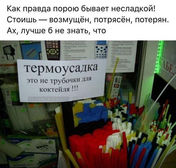 199699_7_trinixy_ru.jpg