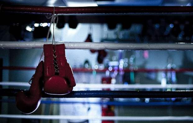 Международный праздник бокса начнётся с главного поединка этого года: Усик против Гассиева