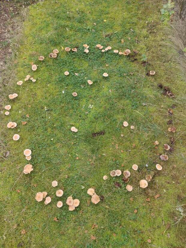 Фотография: 22 странные находки, которые вызвали у людей недоумение №4 - BigPicture.ru