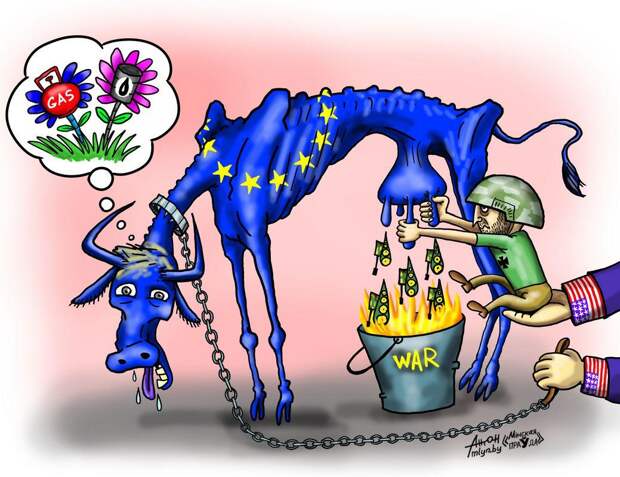 Макрон: в экономике Европы проблемы из-за России, Китая и США