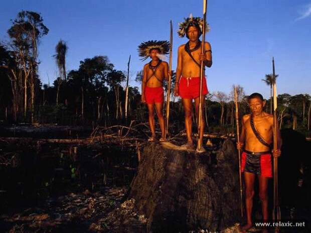 Brazil_008