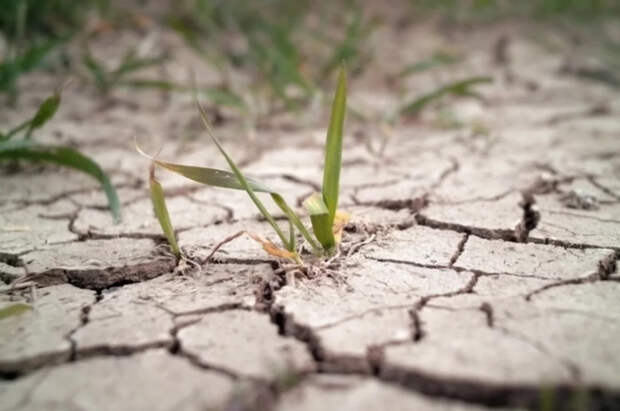 Энергетический дисбаланс Земли достиг рекорда в 2025 году