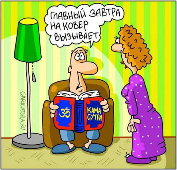Карикатуры :)