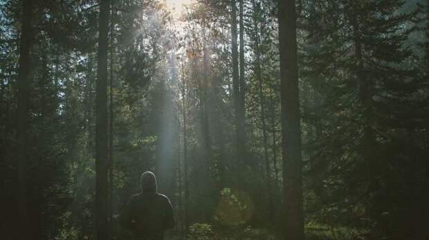 Тайна туапсинского леса! Где Лера? Поиски продолжаются: тепловизор что-то засек