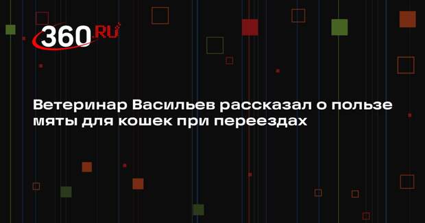 Ветеринар Васильев рассказал о пользе мяты для кошек при переездах