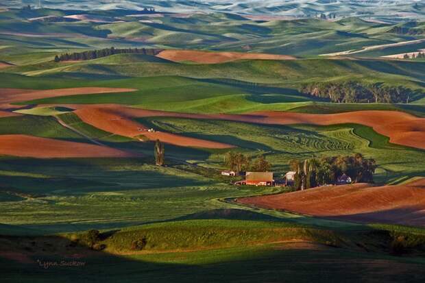 Холмы Palouse, США Palouse 2 Изумрудные холмы Палуз
