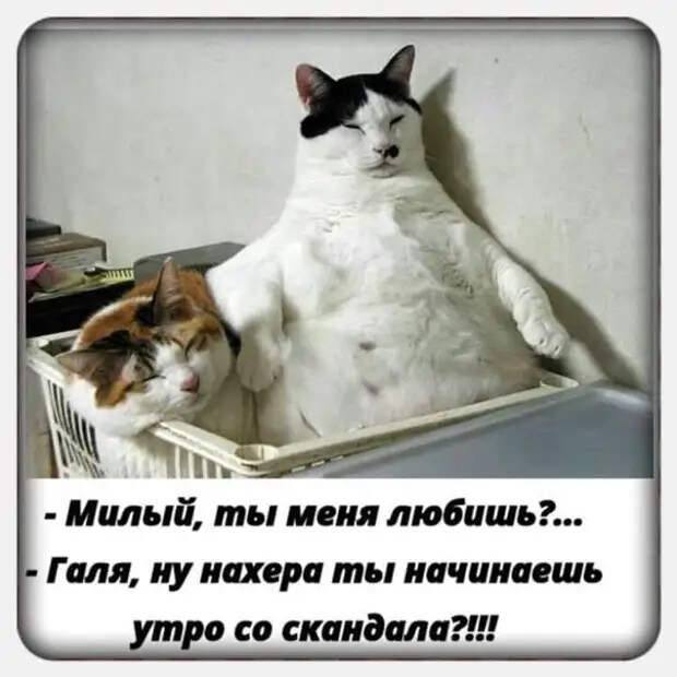 Встречаются два мужика, один другого спрашивает...