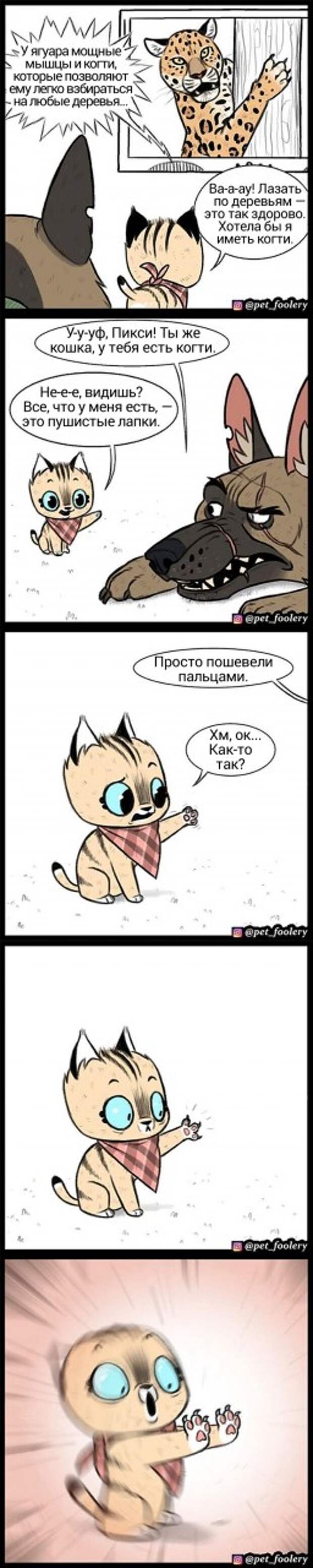 Художник рисует комиксы о дружбе милого котенка и брутальной овчарки, и они никого не оставят равнодушными