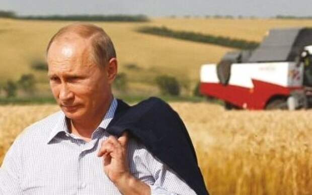 Baijiahao: США «схватились за голову», Путин отплатил Вашингтону за провокации с зерном?