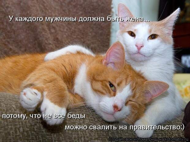 У каждого мужчины должна быть жена потому, что не все беды  можно свалить на правительство ... ;)