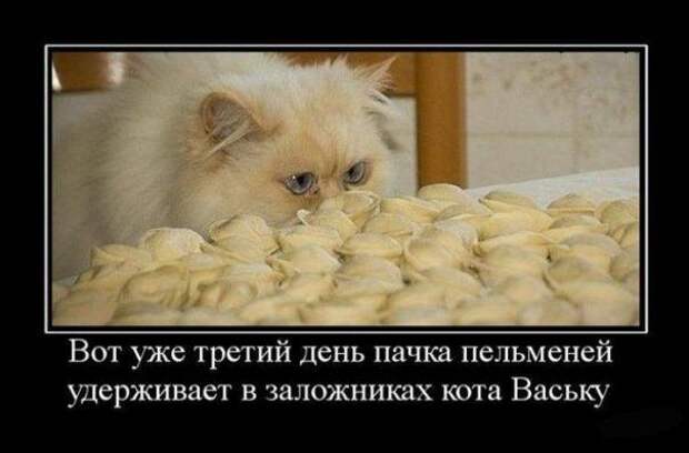 Демотиваторы про животных Демотиваторы про животных