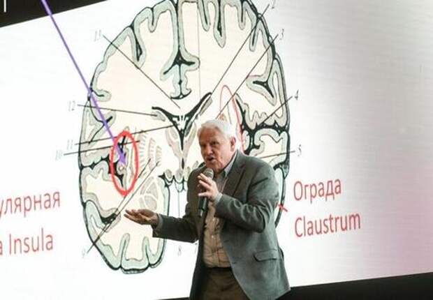 Люди глупеют, отказываясь от ручного письма, предупредили врачи