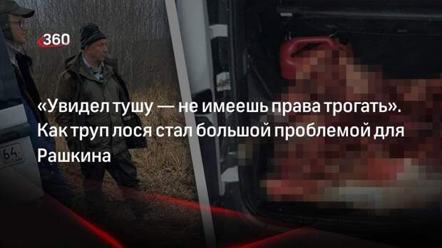Экс-охотник Павел Глазков прокомментировал случай с Рашкиным: увидел тушу — не имеешь права ее трогать