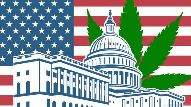 Белый Дом признал - в администрации США работают наркоманы