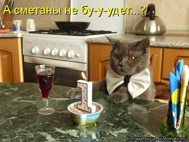 Котоматрица: А сметаны не бу-у-удет...?