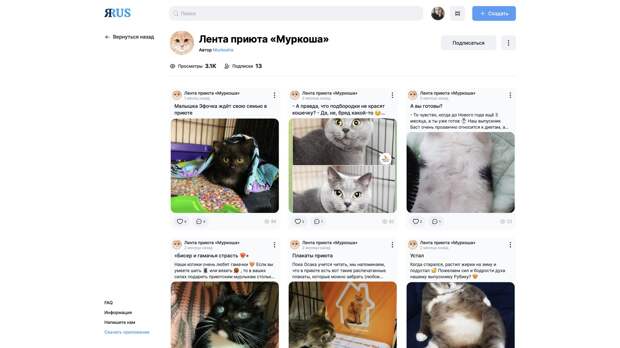 Соцсеть ЯRUS рассказала о поддержке новых инициатив по заботе о животных