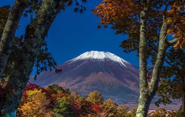 https://cdn5.umbrella.green/wp-content/uploads/2018/03/5-42.jpg