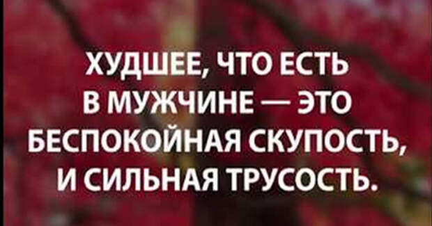 Десять цитат великого пророка Мухаммеда