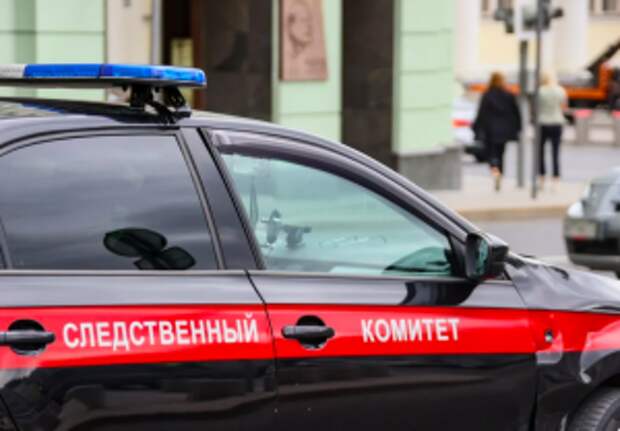 В центральный аппарат ведомства представят доклад в связи с информацией о противоправных действиях приезжего в Московской области