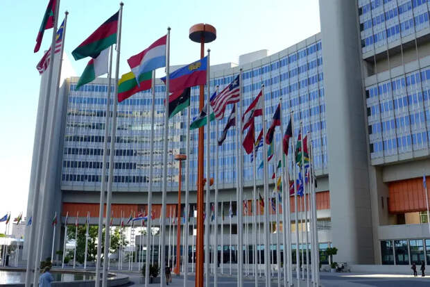 Правнук Сталина написал открытое письмо главе МИД РФ с предложением распустить ООН