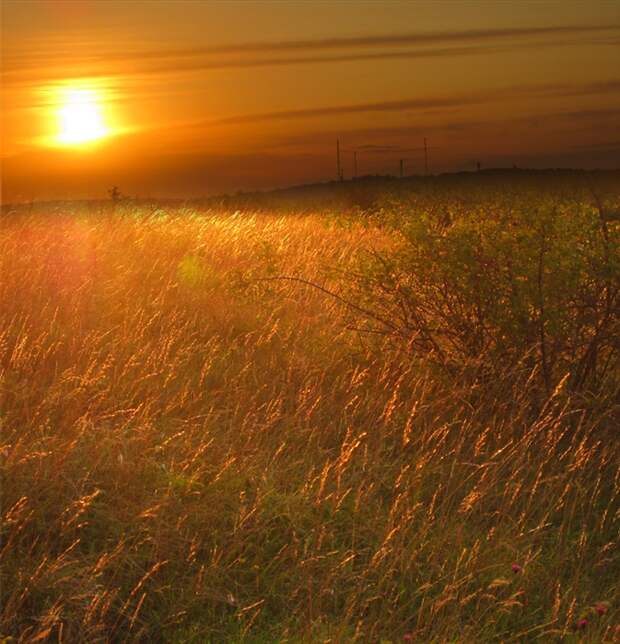 Фото жизнь - mondtag3106 - Пейзажи - Поле