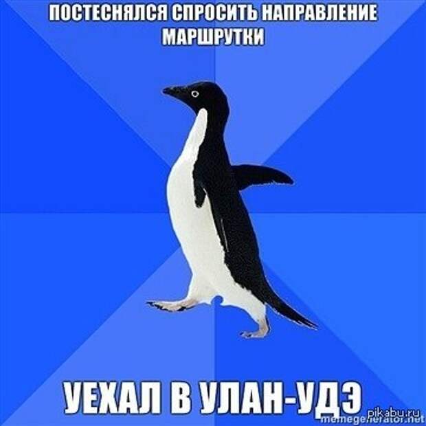 Никогда не стесняйтесь спросить!  Картинки и фото