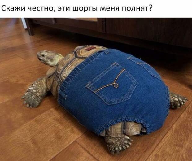 Картинки с надписями и прочие анекдоты, которые не оставят вас равнодушным Картинки с надписями и прочие анекдоты, которые не оставят вас равнодушным
