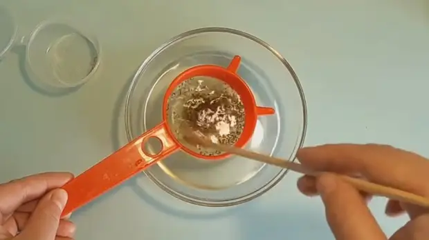 Как при помощи уловок вырастить отличную морковь