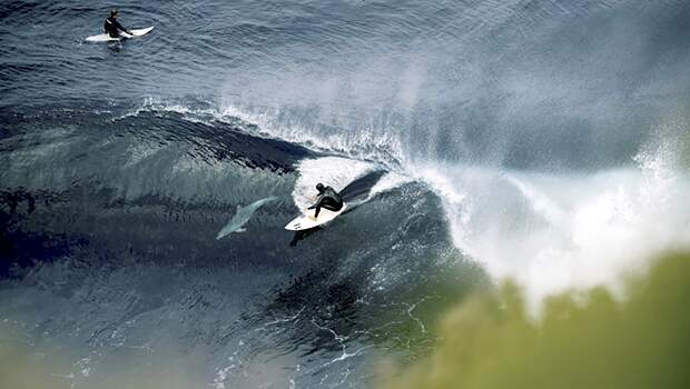 Властители нашей планеты