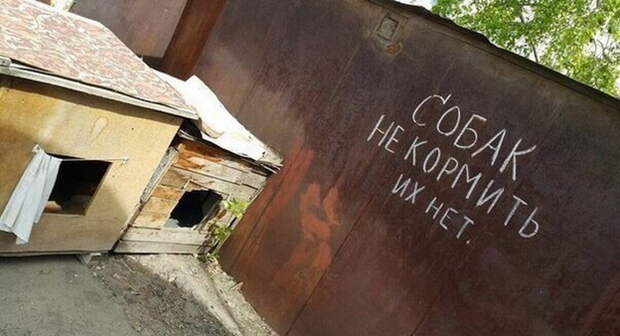 Вестник социальных сетей Вестник социальных сетей