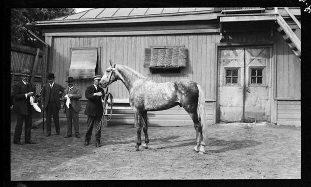 Москва 1909 г. (59 фото)