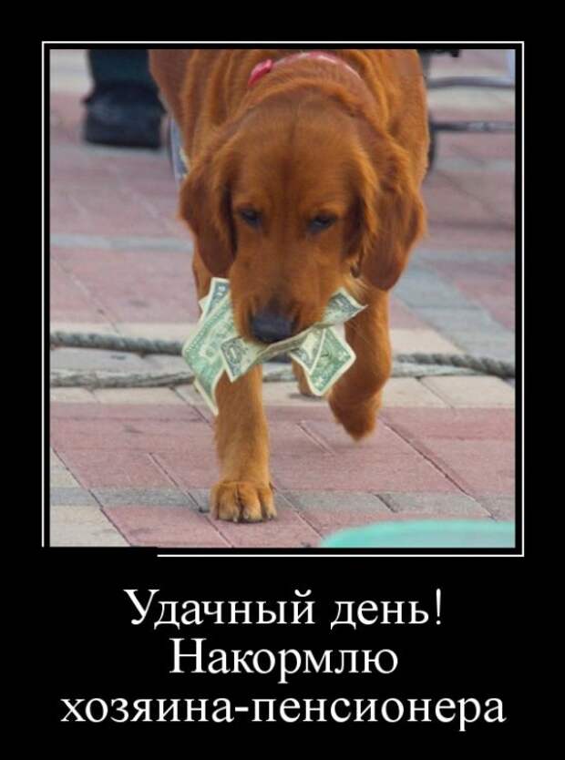 Свежие и веселые демотиваторы со смыслом (10 фото)