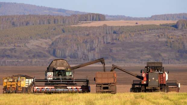 SHOT: молодые россияне бросают офисную работу и становятся фермерами