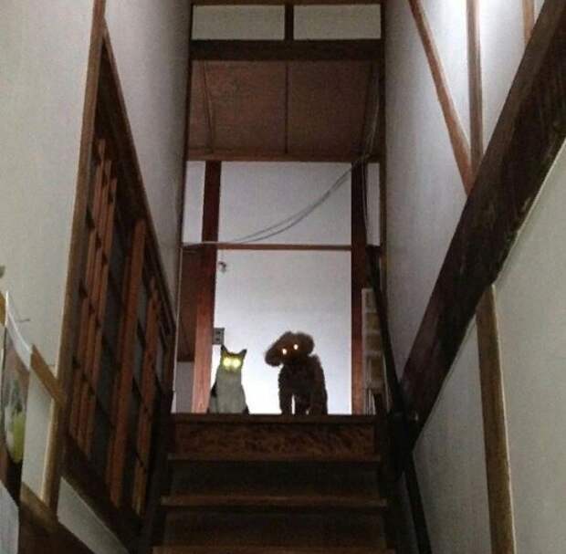 0MtQIvOKZVA.jpg 0MtQIvOKZVA.jpg