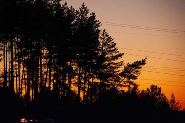 Магнитная буря ожидается на Земле вечером 31 марта