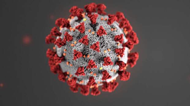 Пандемия COVID-19 может закончиться из-за появления штамма коронавируса «Омикрон»