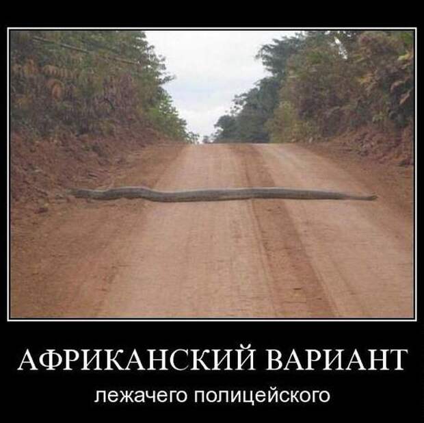 Демотиваторы (30 фото)