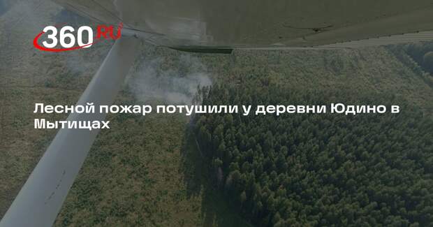 Лесной пожар потушили у деревни Юдино в Мытищах