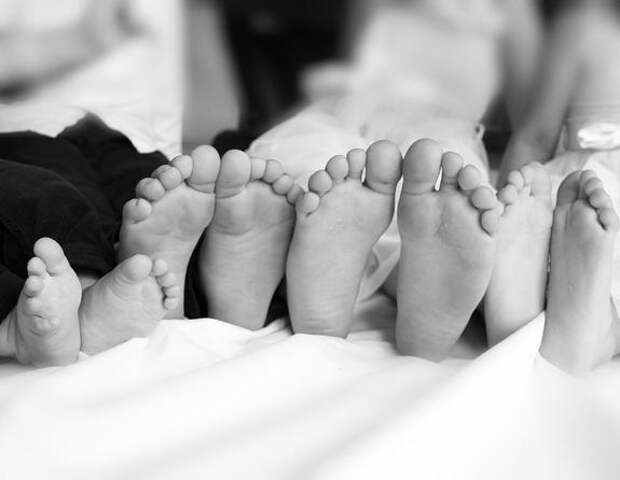 Жириновский предложил давать деньги женщинам, которые хотят избавиться от ребёнка искусственным путем