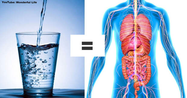 Вот что будет с вашим телом, если вы начнете пить воду натощак