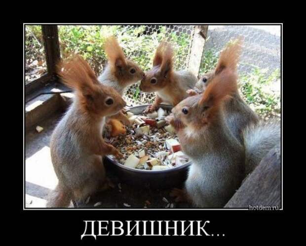 Новые прикольные демотиваторы (38 шт)