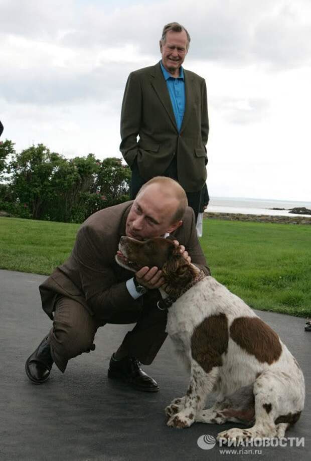 Владимир Путин и его собаки путин, собаки, фото.