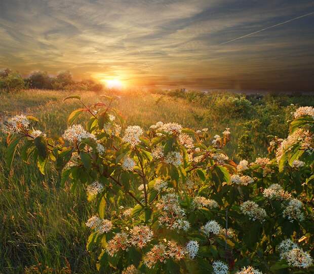 Фото жизнь - mondtag3106 - Пейзажи - ***