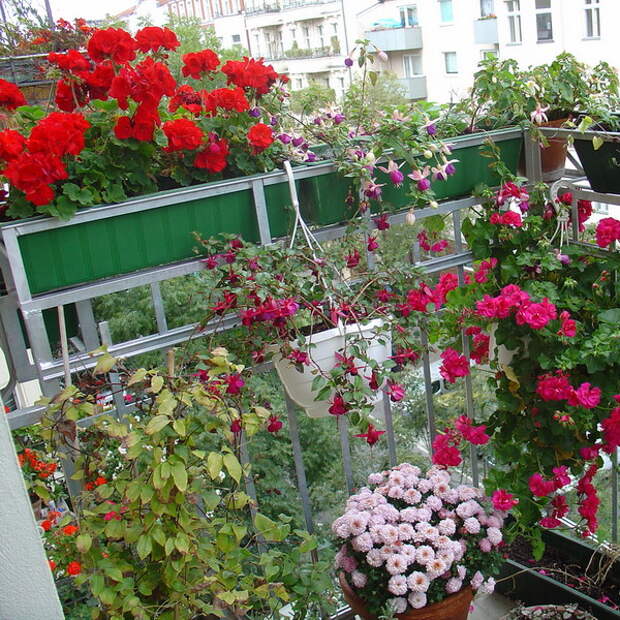 flowers-on-balcony-part1