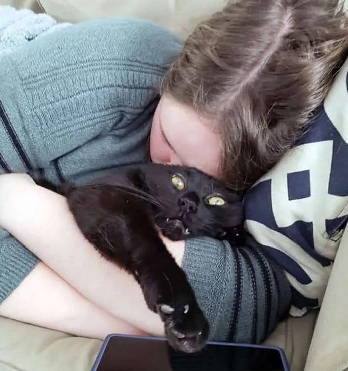 Котейки, которые терпеть не могут эти ваши поцелуйчики