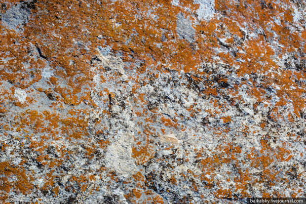20141004-IMG_5416-1000copy 20141004-IMG_5416-1000copy