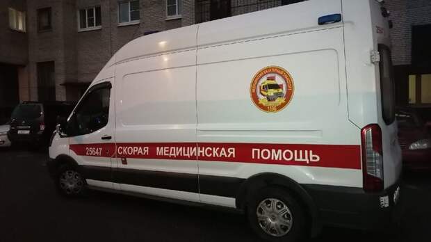 Ребенок погиб на глазах матери в Петербурге: водитель грузовика не успел вовремя среагировать