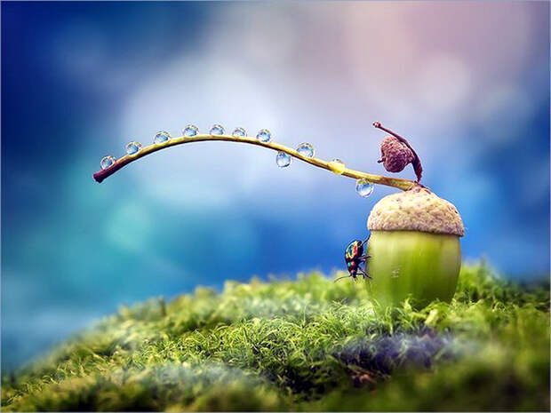 http://img0.liveinternet.ru/images/attach/b/4/104/8/104008298_large_93594087_large_d8e6f7f7797cab23e2e6684d6e8.jpg